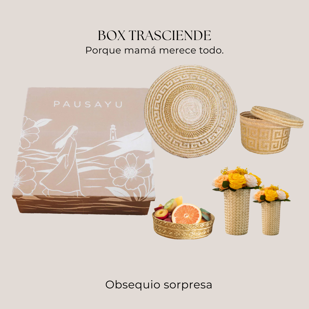Box Trasciende
