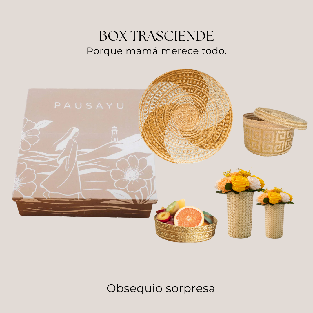 Box Trasciende