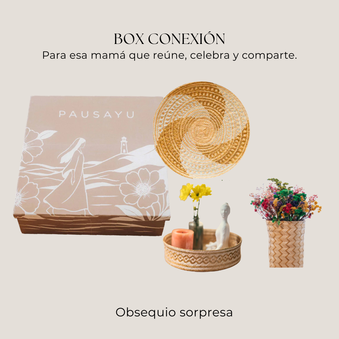 Box Conexión