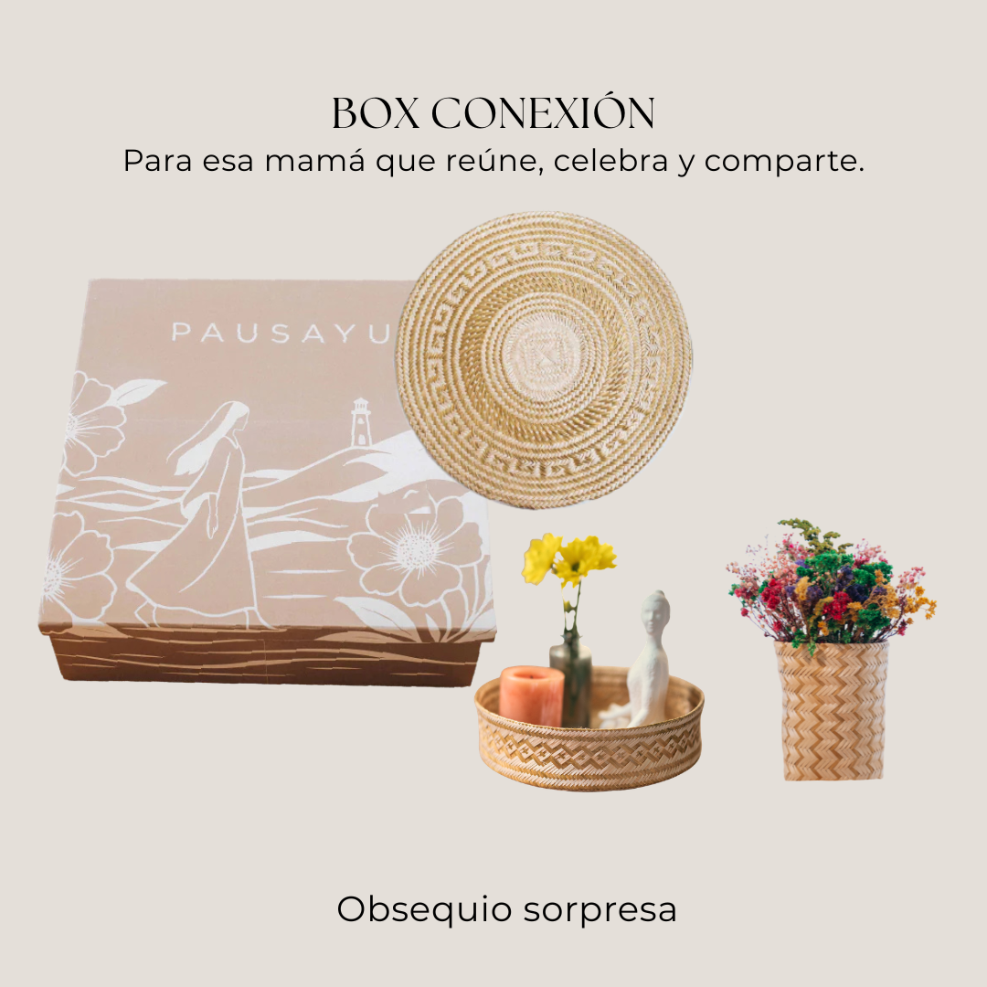 Box Conexión