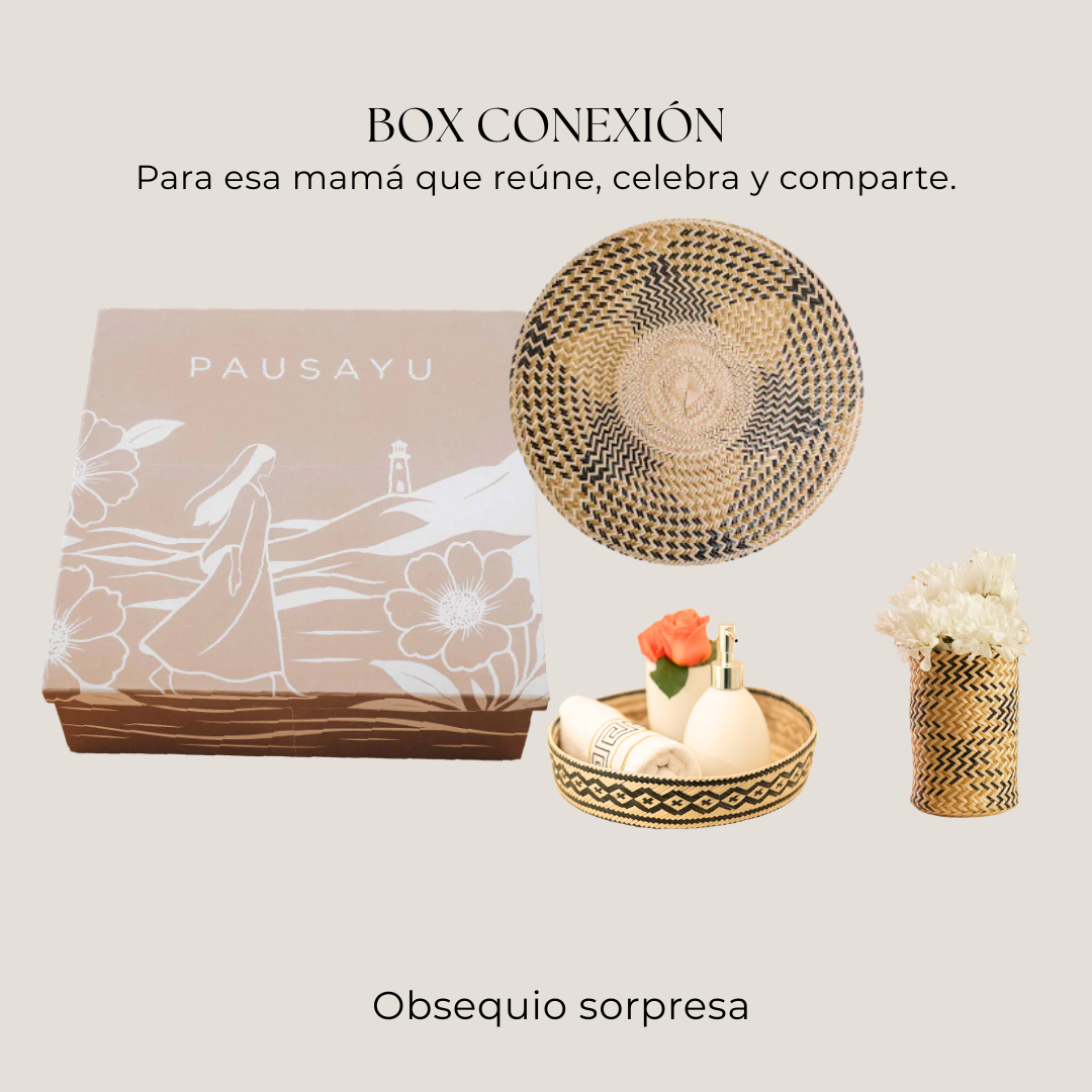 Box Conexión