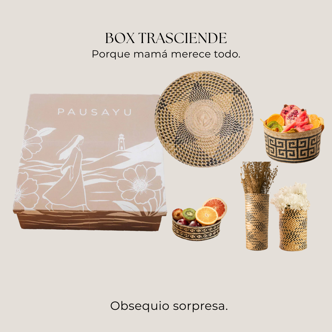 Box Trasciende
